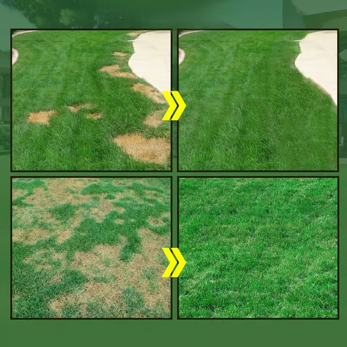 All-in-One Lawn Repair Spray Kit | Grass Seed & Fertilizer Solution — Thicker, Greener Results in Days