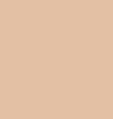 Korean Color-Changing Foundation Stick – One Swipe, Perfect Match