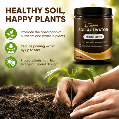 🔥Last Day 70% OFF-🌱Soil Activated Treasure-You Will Be Amazed!